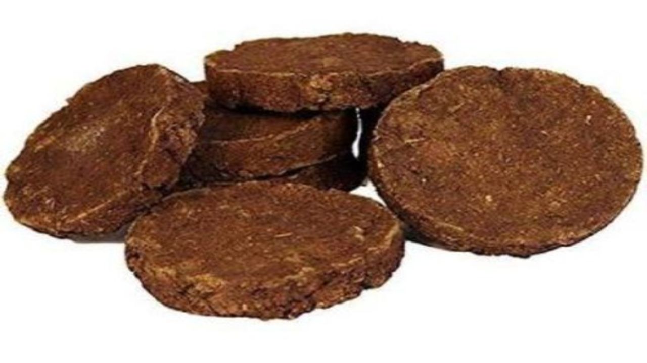 Cow dung cakes Twitter India