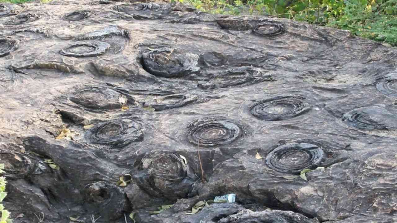 Salkhan UP Sonbhadra Fossil park oldest Uttar Pradesh