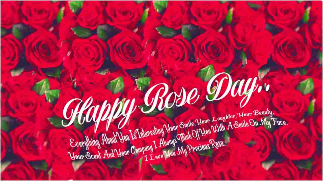 Happy Rose Day 2021: Wishes, WhatsApp stickers, quotes, greetings, and photos to celebrate Valentine week