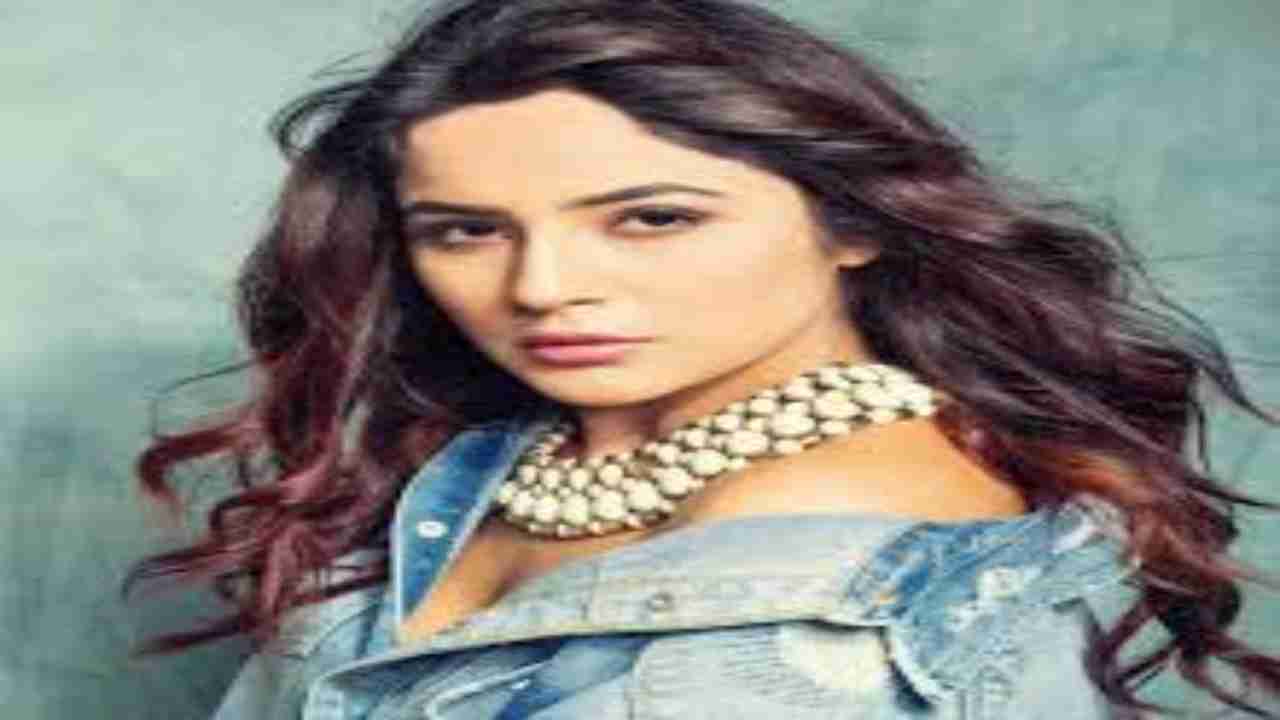 Shehnaaz Gill to co-star with Diljit Dosanjh in Honsla Rakh, see poster