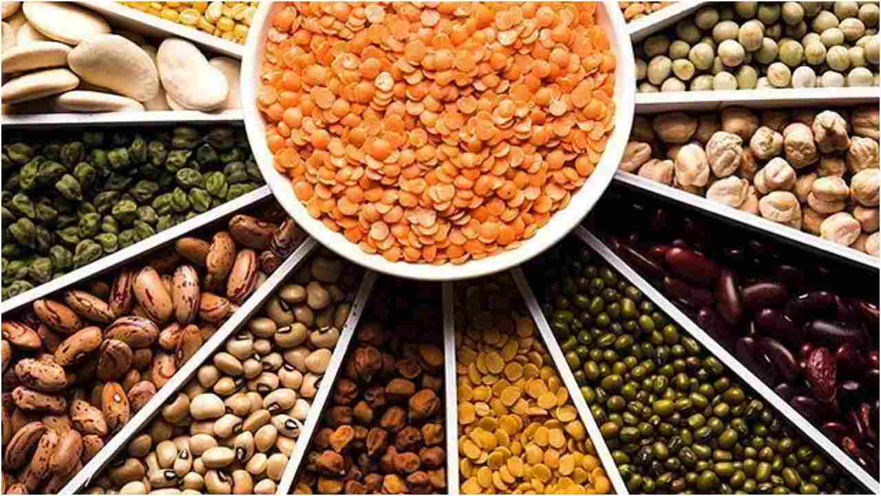 World Pulses Day 2021: From Chana masala to Moong Dal salad, quick and easy recipes for a healthy diet