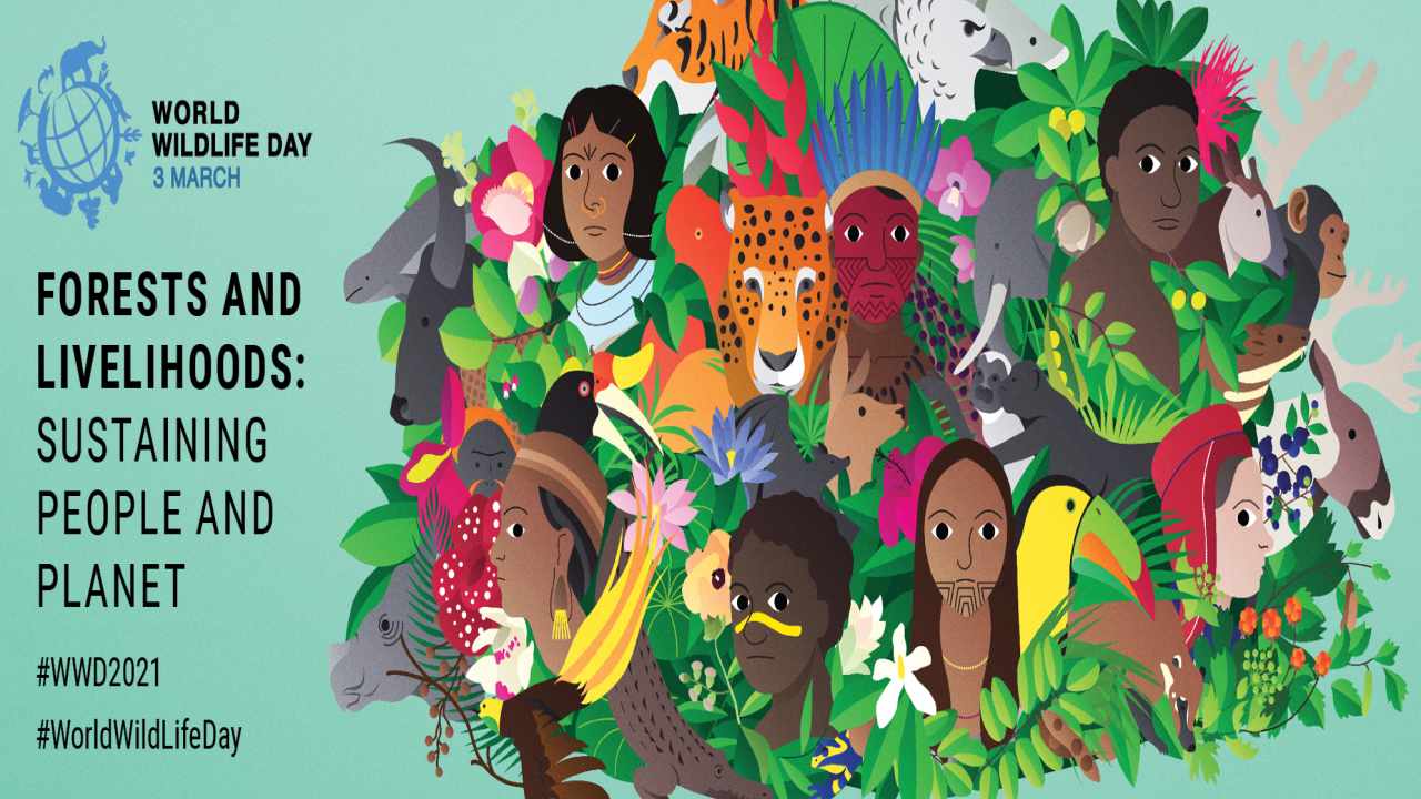 World Wildlife Day 2021: Significance, History, Importance, and theme of this year 
