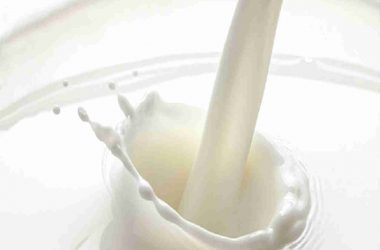 milk
