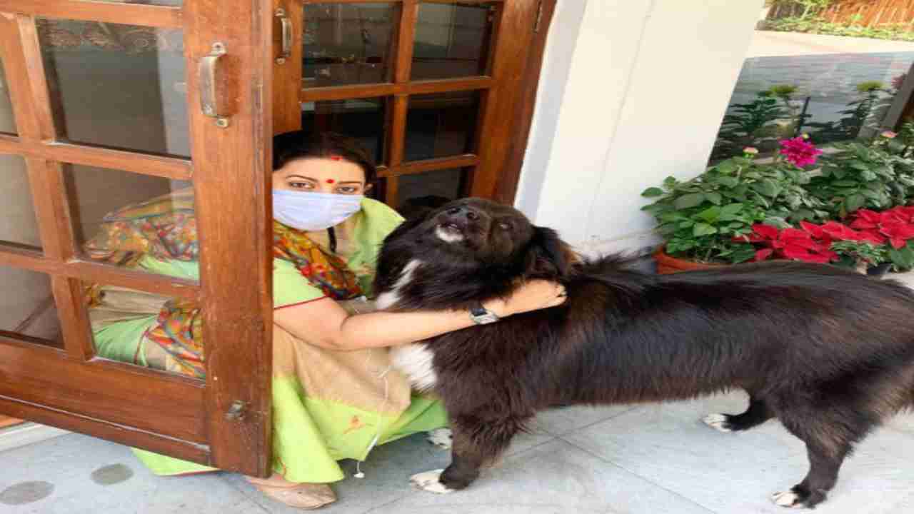 Smriti Irani shares adorable picture with pet dog, gives it Shehnaaz Gill's 'Twada Kutta Tommy' twist