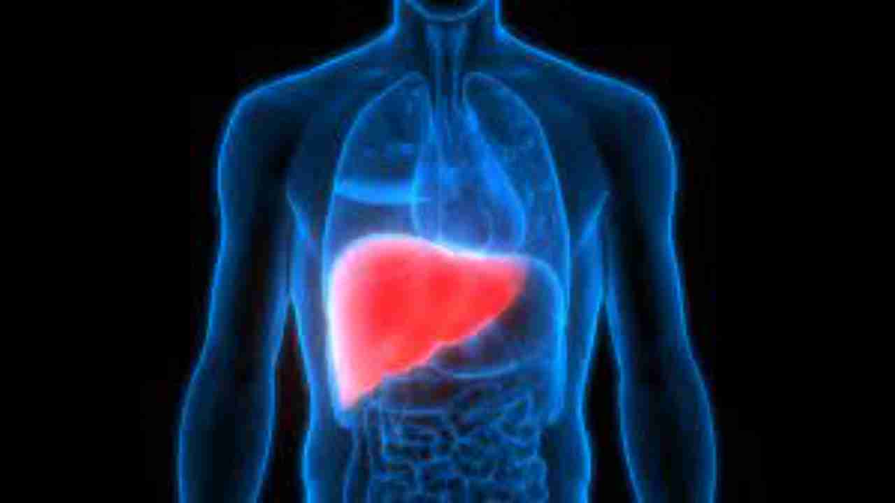 World Liver Day 2021: Everything you need to know about liver health