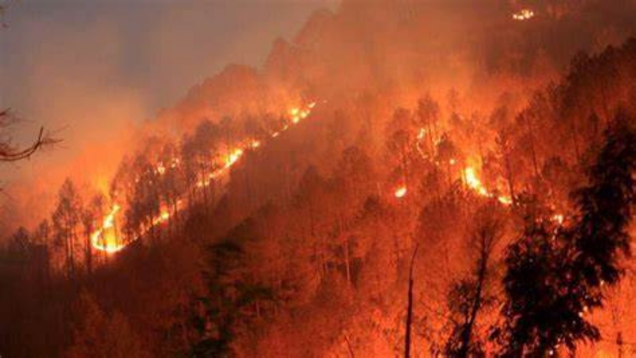 Fire breaks out 1187 times in 22 days in Uttarakhand forests, as per NASA satellite images