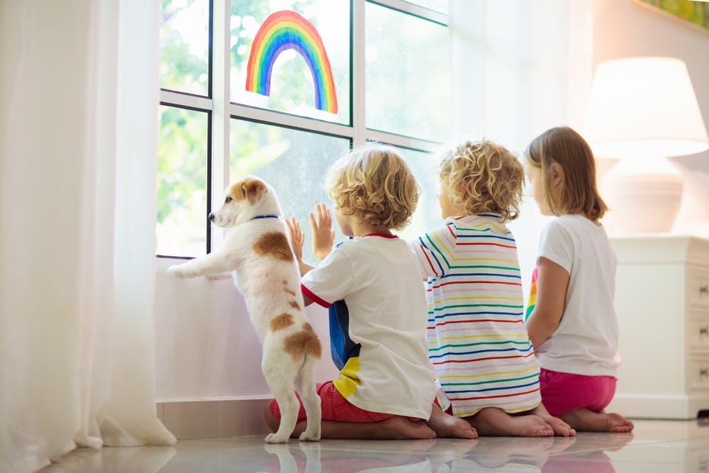 Pets eased children’s loneliness in lockdown: Study