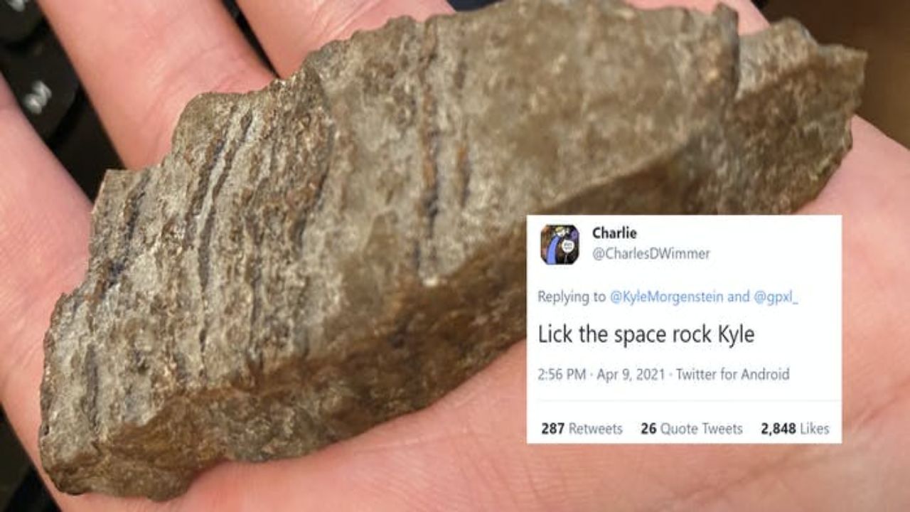 Scientist licks 3.5 Billion Year old Martian space rock, says “need salt”