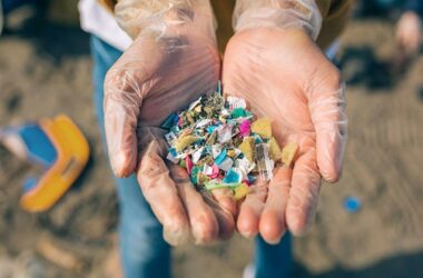 India among major Hotspots for Microplastic pollution, reports suggest