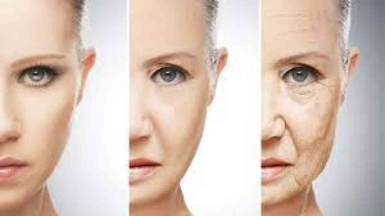 Is there a link between nutrition and skin ageing?