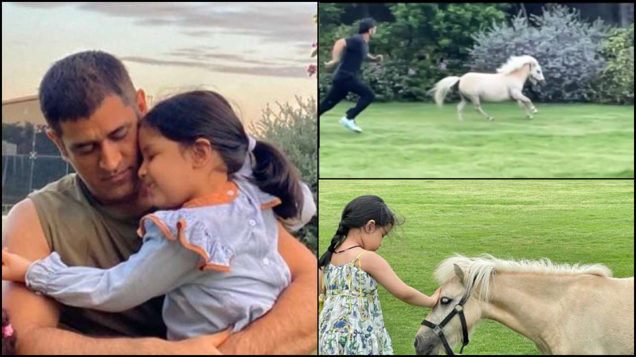 CSK skipper Dhoni ‘tests his fitness’ with a Shetland pony