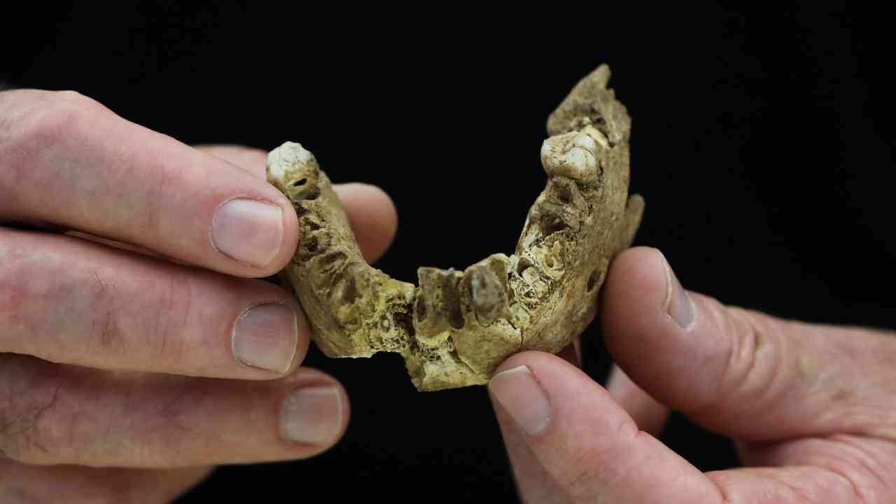Homo who? A new mystery human species has been discovered in Israel
