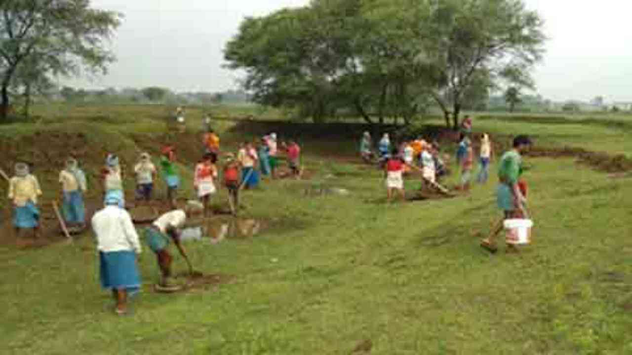 Jharkhand: Nilambar-Pitambar Jal Samridhi Yojana making barren land green