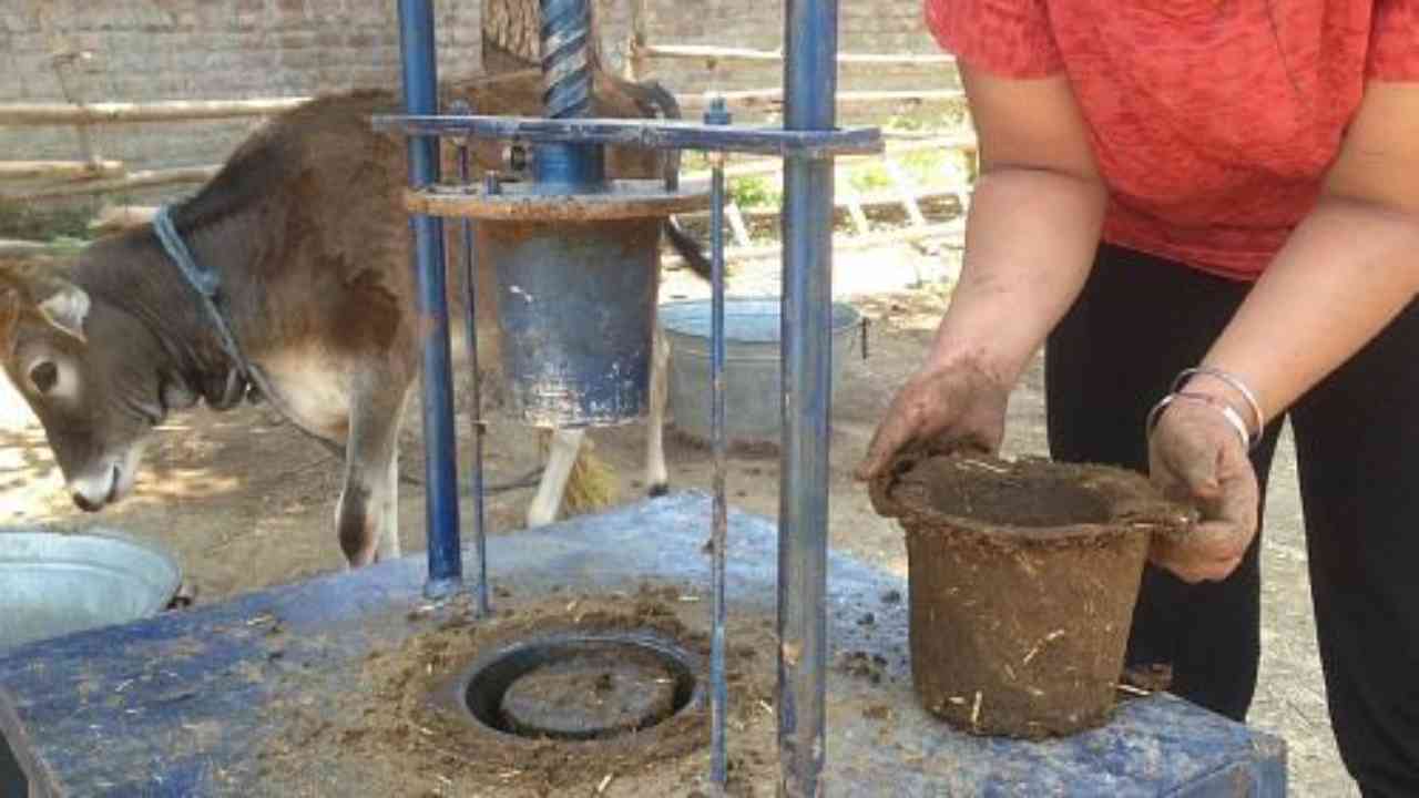 Jaipur-based startup makes environment-friendly articles using cow dung