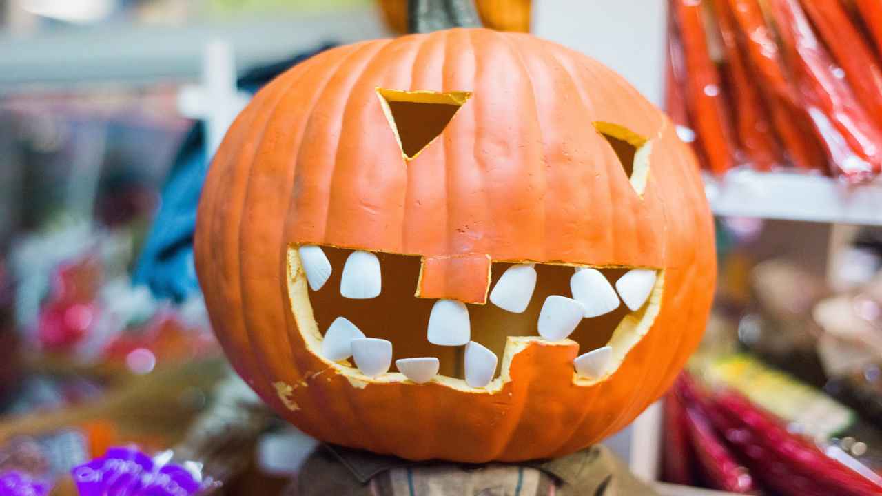 Happy Halloween 2021: Celebrate Halloween like a local in the USA