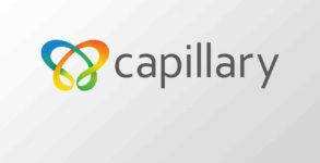 Capillary Technologies files draft papers to raise Rs 850 cr via IPO