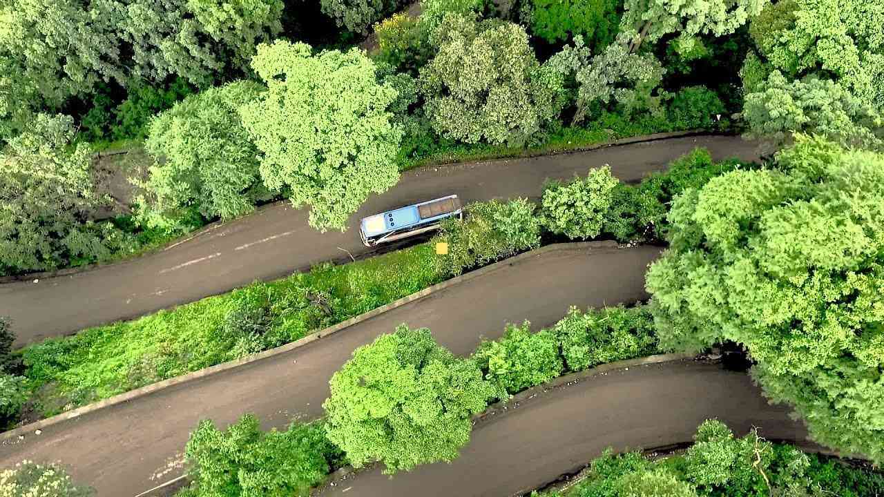Naxal-hit Chhattisgarh forest turning into tourism hub, offering new means of livelihood to tribals