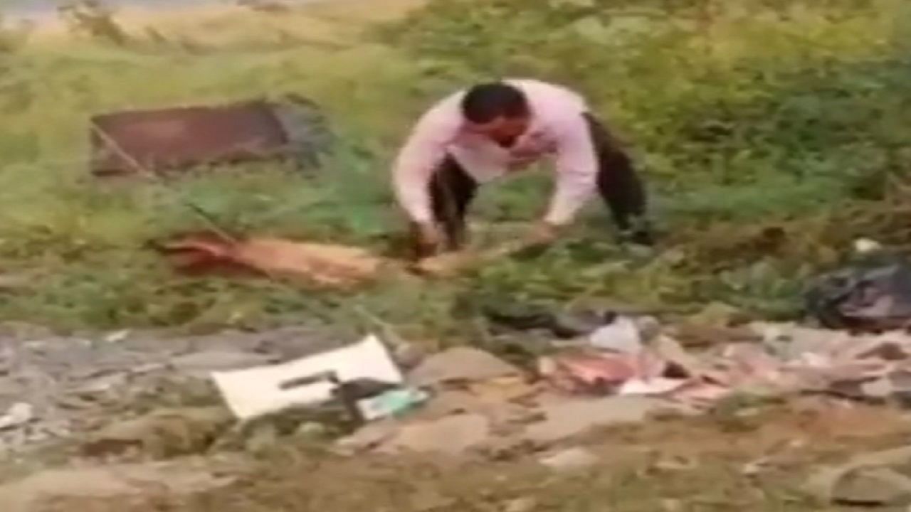 Madhya Pradesh: Man kills dog after it bites his son, brutality video goes viral