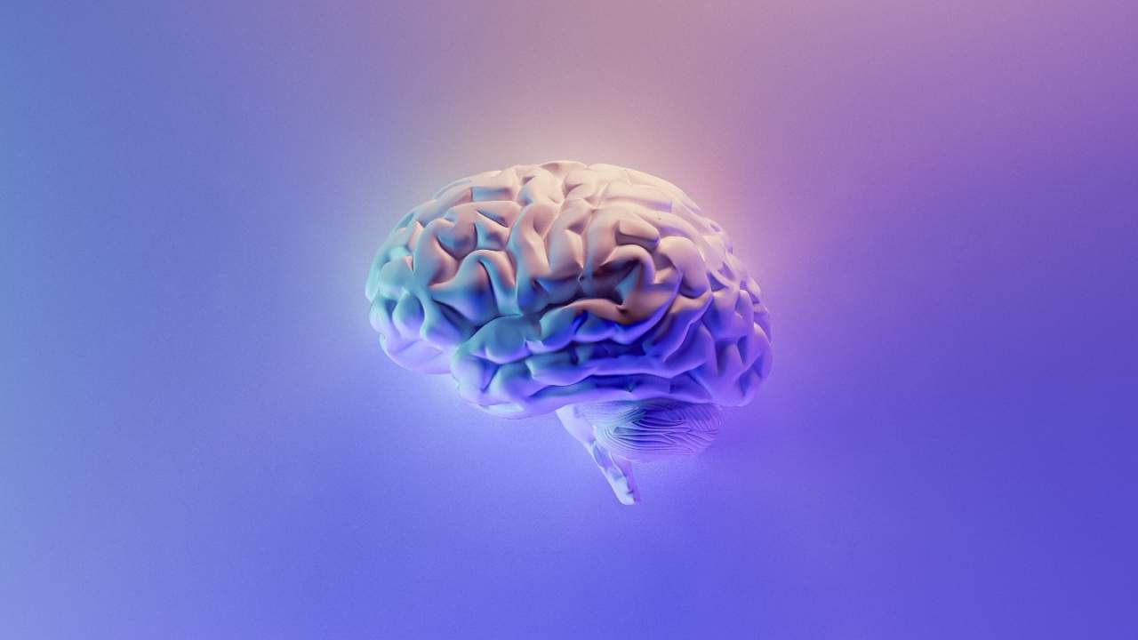 Memory issues, seizures in epilepsy might have a common cause