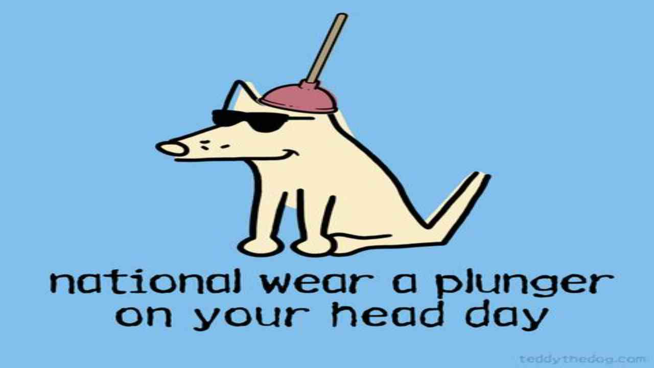 National Wear a Plunger on Your Head Day 2021: History, observance and all you need to know about this day