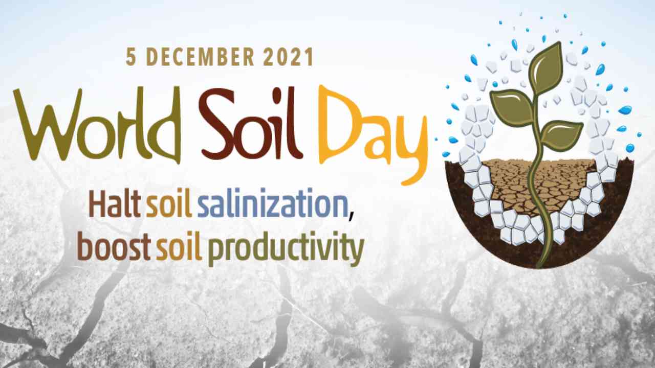 World Soil Day 2021: Theme, Significance, History and why it is celebrated