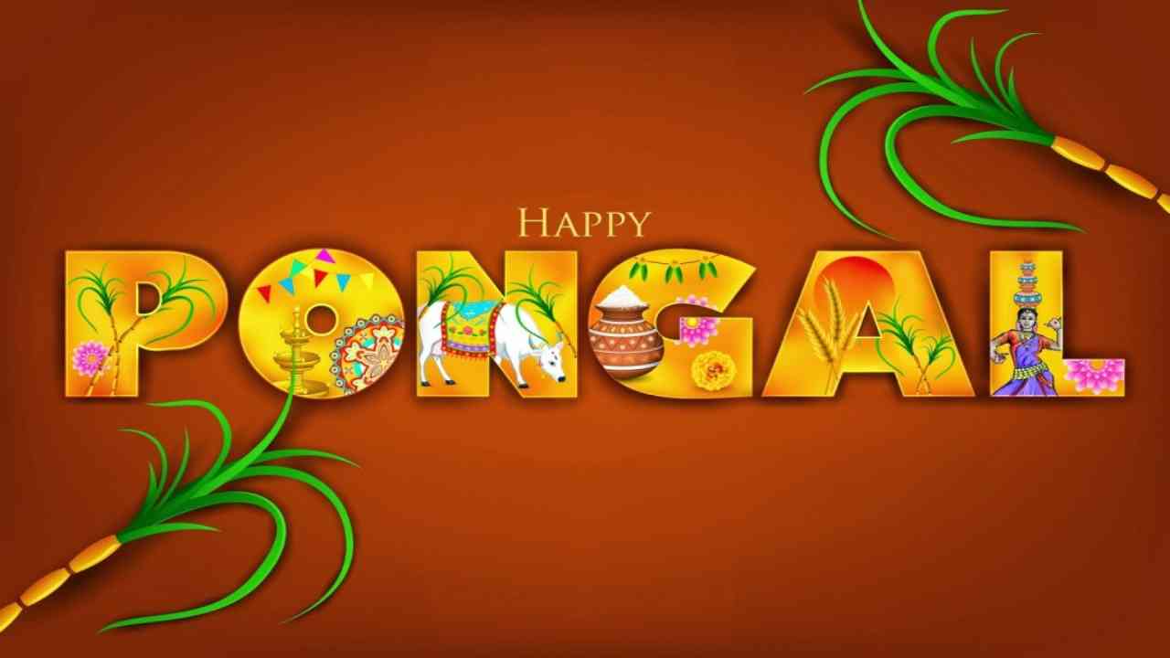 Pongal 2022: Wishes, greetings, quotes, and whatsapp status messages to share with your loved ones on the holy occasion of Pongal