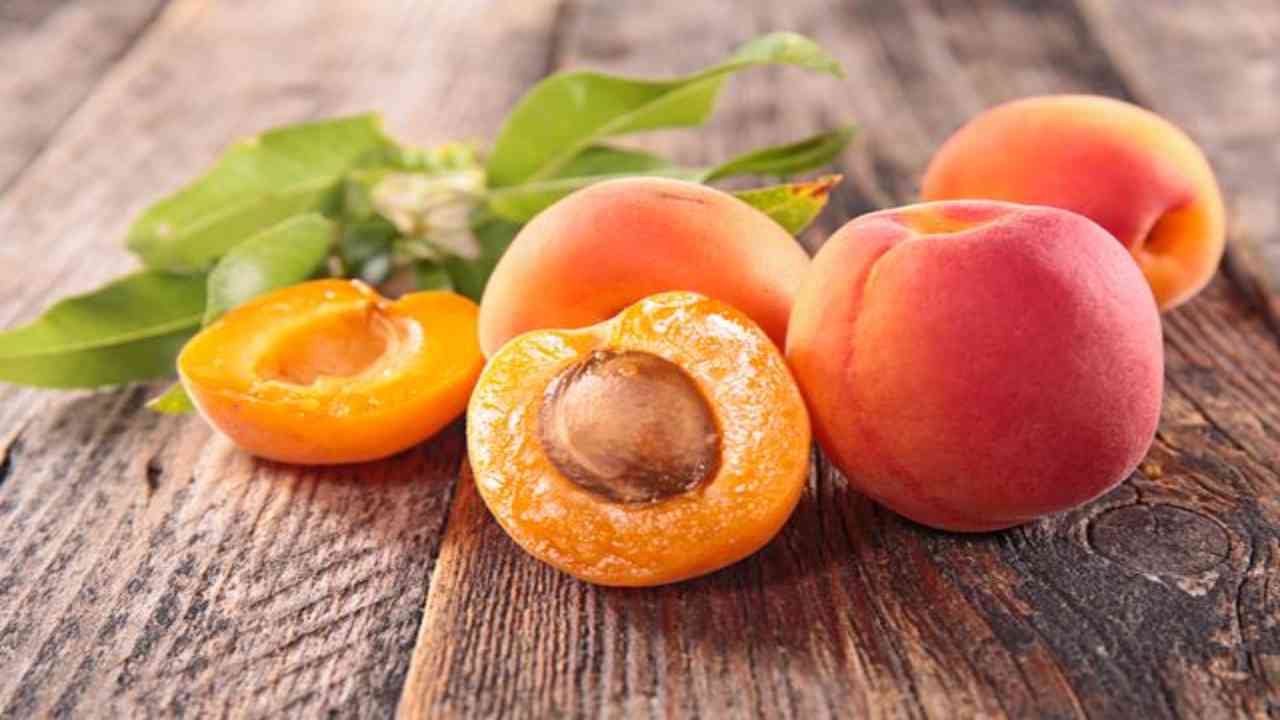 National Apricot Day 2022: History, celebration, observance and juicy facts
