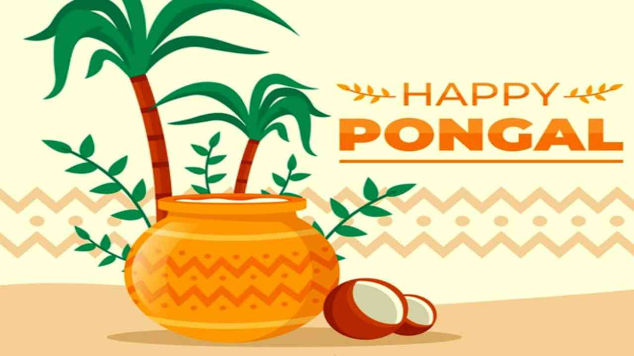 Four Day festival of Pongal: Days and dates, four day celebrations and details about each day