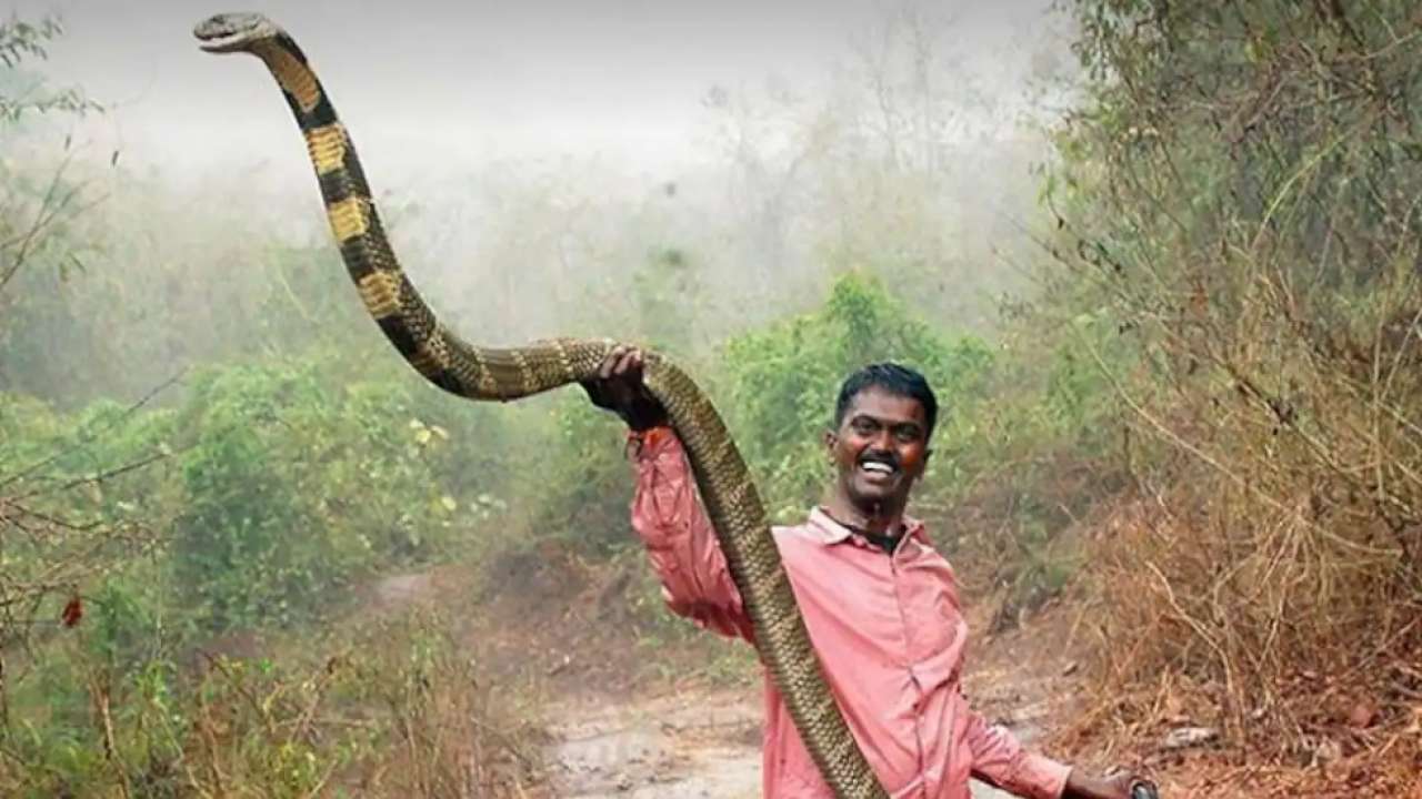 Kerala: Snake catcher Vava Suresh taken off ventilator; shows improvement