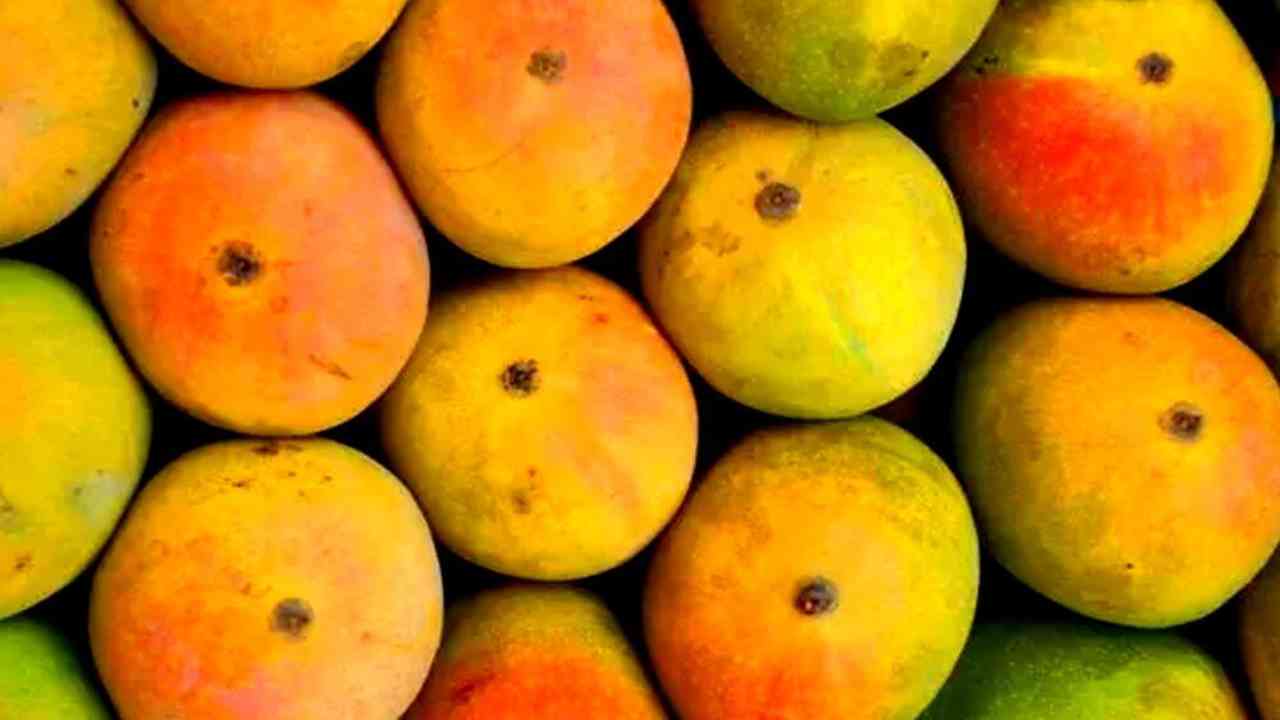 APMC in Pune seizes 42 boxes of Karnataka mangoes sold as Ratnagiri alphonso