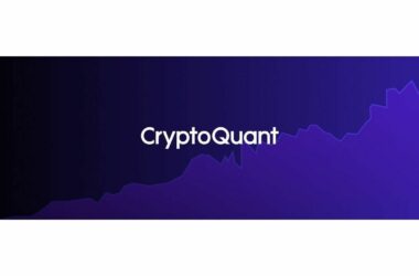 CryptoQuant, A Leading On-Chain Data Platform Is Truly The Blessing Every Crypto Investor Deserves