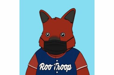 NFT collection called Roo Troop helping people start and build their careers in Web3