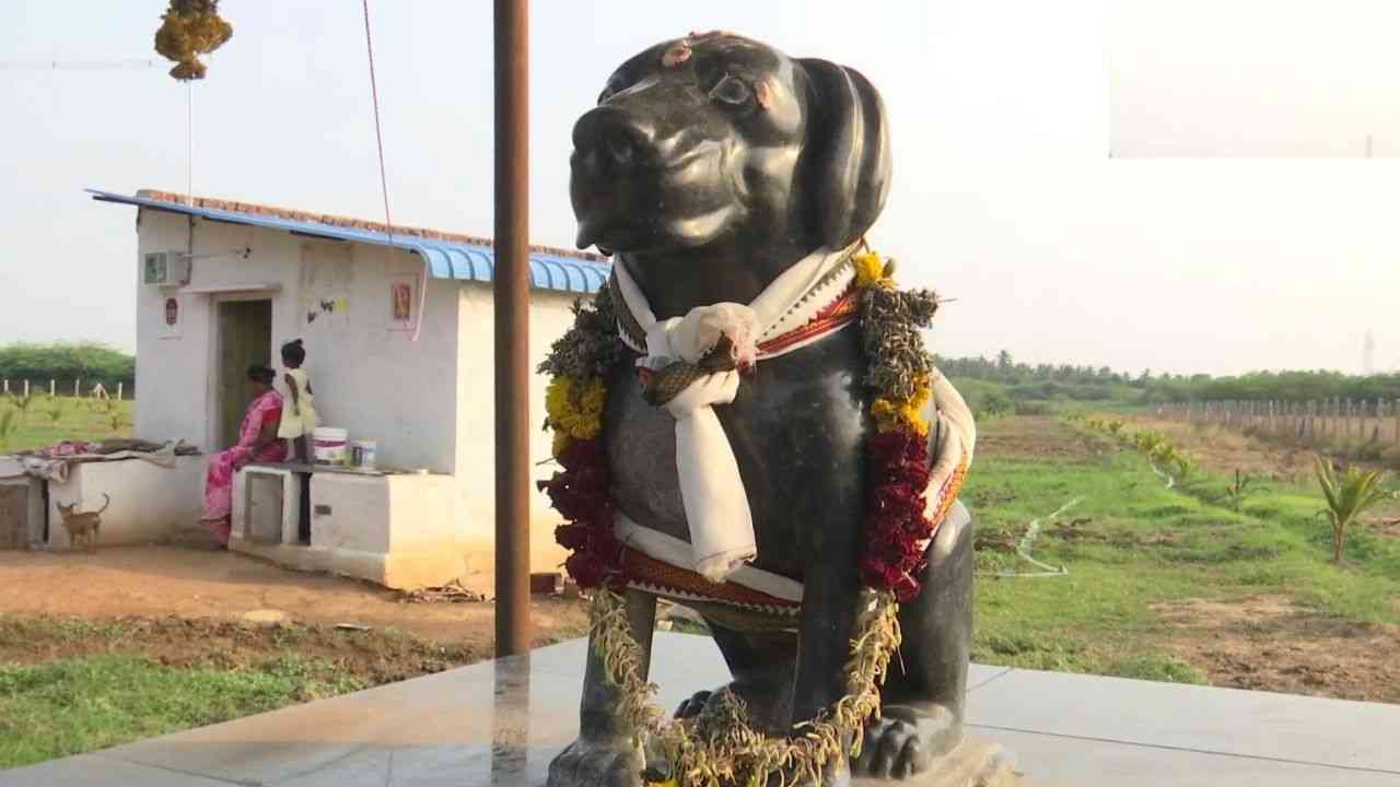 Tamil Nadu: Man builds temple in memory of his pet dog