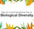 International Day for Biological Diversity 2022: Theme, Date, History and importance