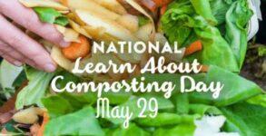 Learn About Composting Day – May 29 2022: History, Importance