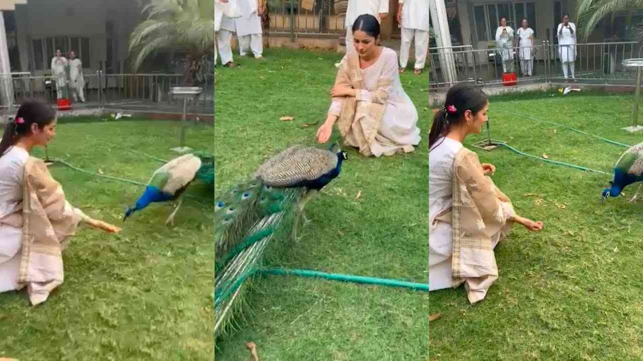 Shehnaaz Gill spreads happiness with her cute dance with peacock