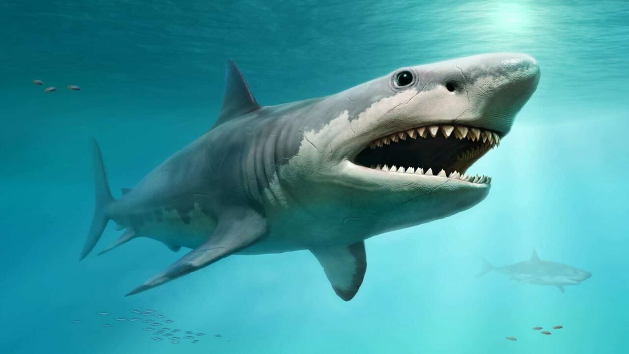 National Megalodon Day 2022: Date, History and Significance