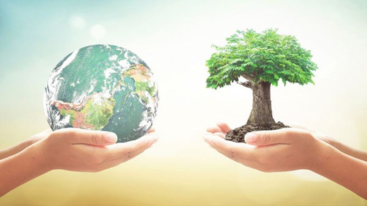 World Environment Day 2022: Date, History, UN’s Goal for the Year 2030?