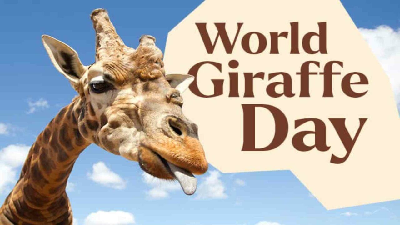 World Giraffe Day 2022