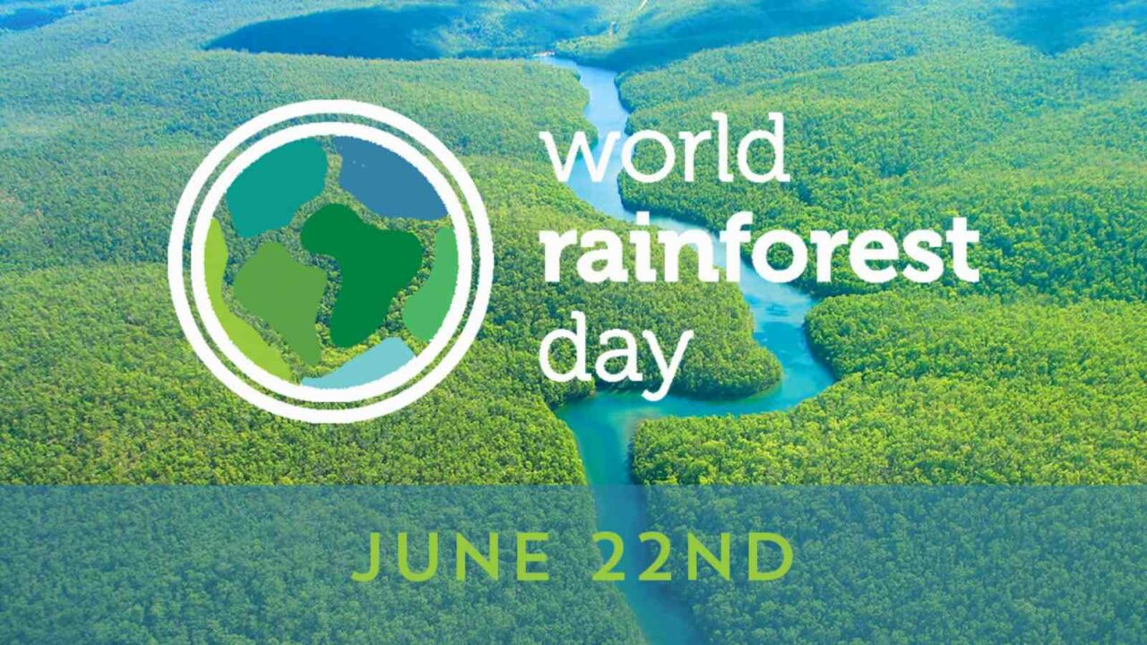 World Rainforests Day 2022: Date, Theme, History, Significance