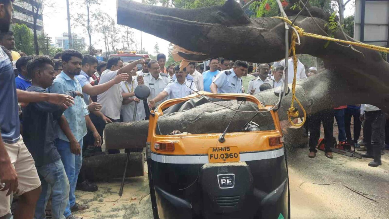 Maharashtra: Driver, passenger killed as tree falls on autorickshaw in Nashik
