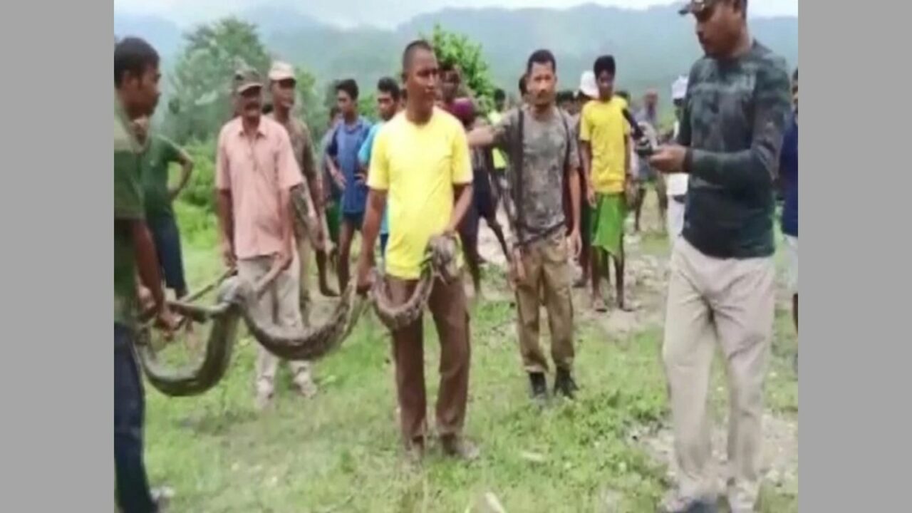 Assam: 12-feet-long python rescued in Baksa