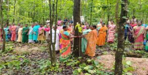 Jharkhand forest dept kicks off save tree mission by tying Rakhis