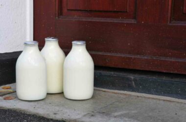 Milkman Day 2022 (US): Date, History and Importance