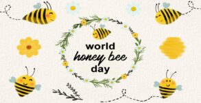 World Honey Bee Day 2022: Date, Significance and Importance
