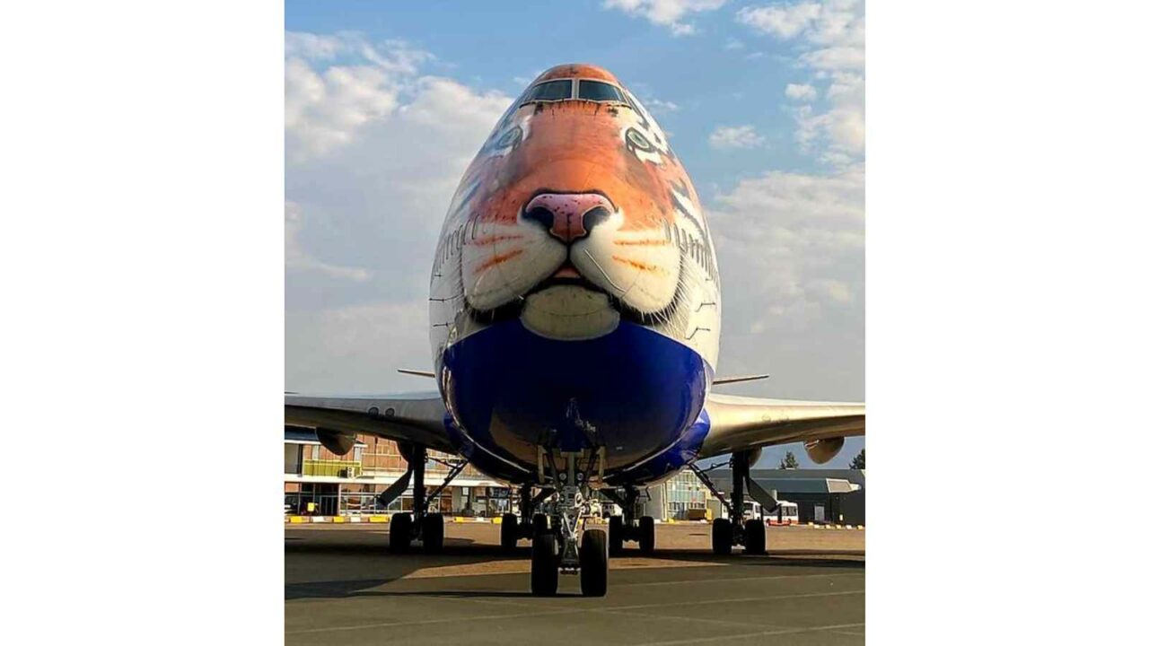 Specially customised B747 jumbo jet arrives in Namibia to bring eight cheetahs to India