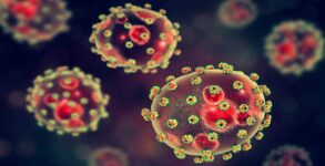 Lassa virus endemic area could significantly grow in coming decades