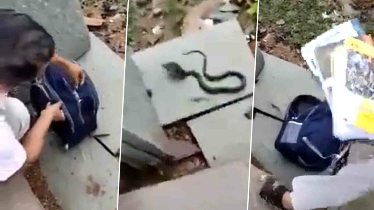 Snake travels to school in girl's backpack in Madhya Pradesh