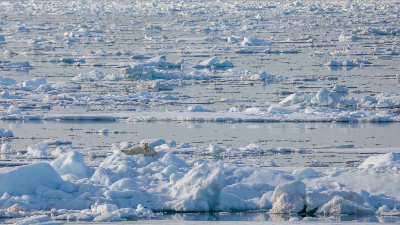 Arctic Ocean acidification a result of warmer climate: Research