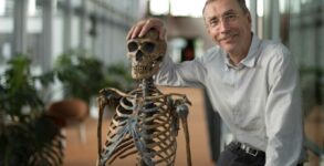 Nobel Prize for medicine awarded to Sweden's Svante Paabo for his discoveries on human evolution